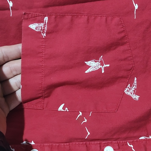 Large Cactus Man dress shirt - Picture 3 of 4